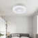 Agel 19.68 Inch Ceiling Fan LED Lamp 3 Color 6 Wind Speed Dimmable With Remote Control