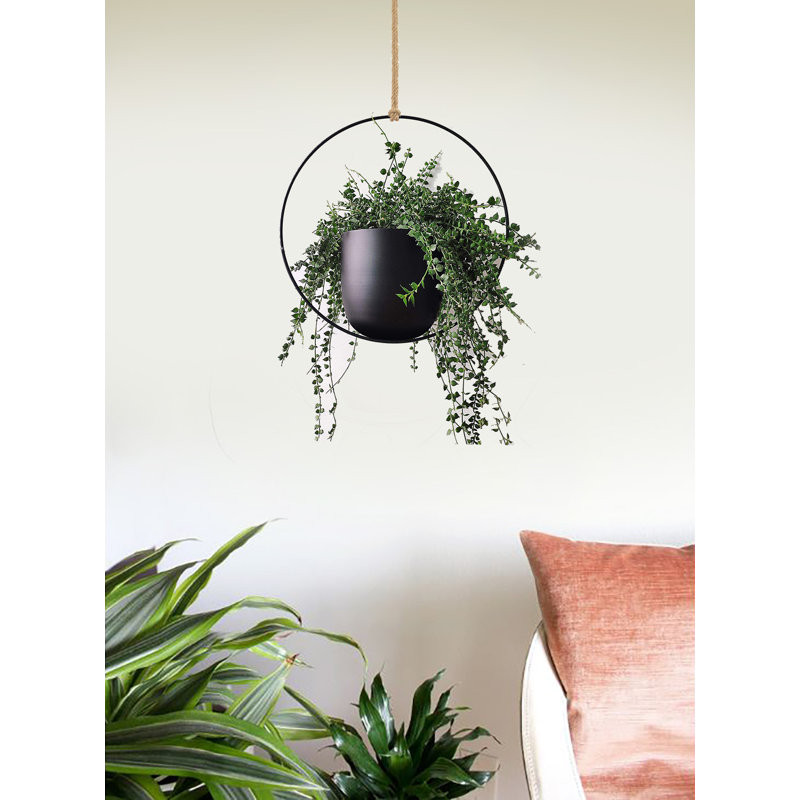 Jardinière suspendue Ray, H 16 po x l 7 po x P 16 po