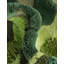 Tapis Isabelle & Max ™ Sunderbans Angeliyah-459493748
