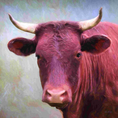 Visage de taureau
