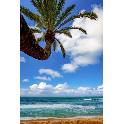 " Tropical Views Of The Pacific Ocean From Waikiki Beach; Honolulu Oahu Hawaii United States Of America "