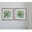 « macro sage fleur », ensemble de 2 reproductions d’art encadrées
