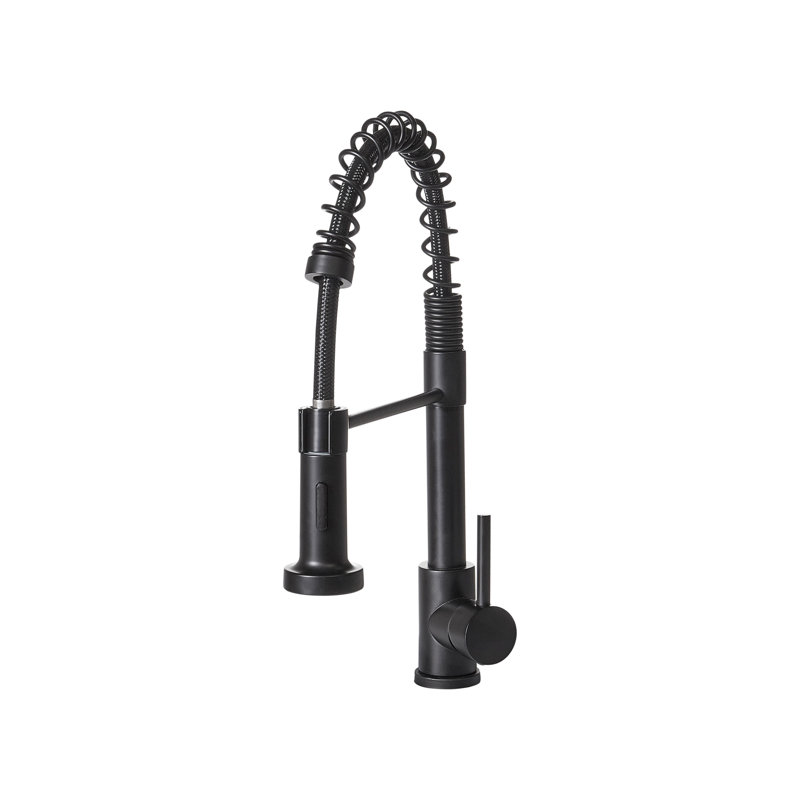 Belfry Kitchen Kitchen Faucet, Matte Black