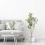 Faux Fiddle Leaf Fig Tree in Cement Pot-1580831051
