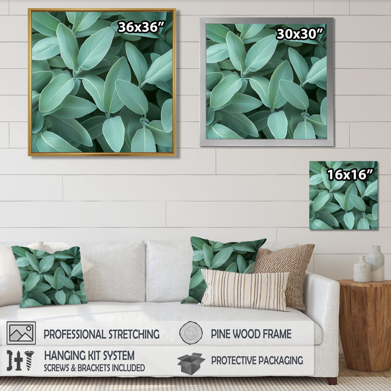 Feuilles de sauge - feuilles, art mural, Impression encadrée flottante, Noir, noir, noir, noir, H 16 po x l 16 po
