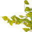 Buisson artificiel suspendu Pothos-1969214129