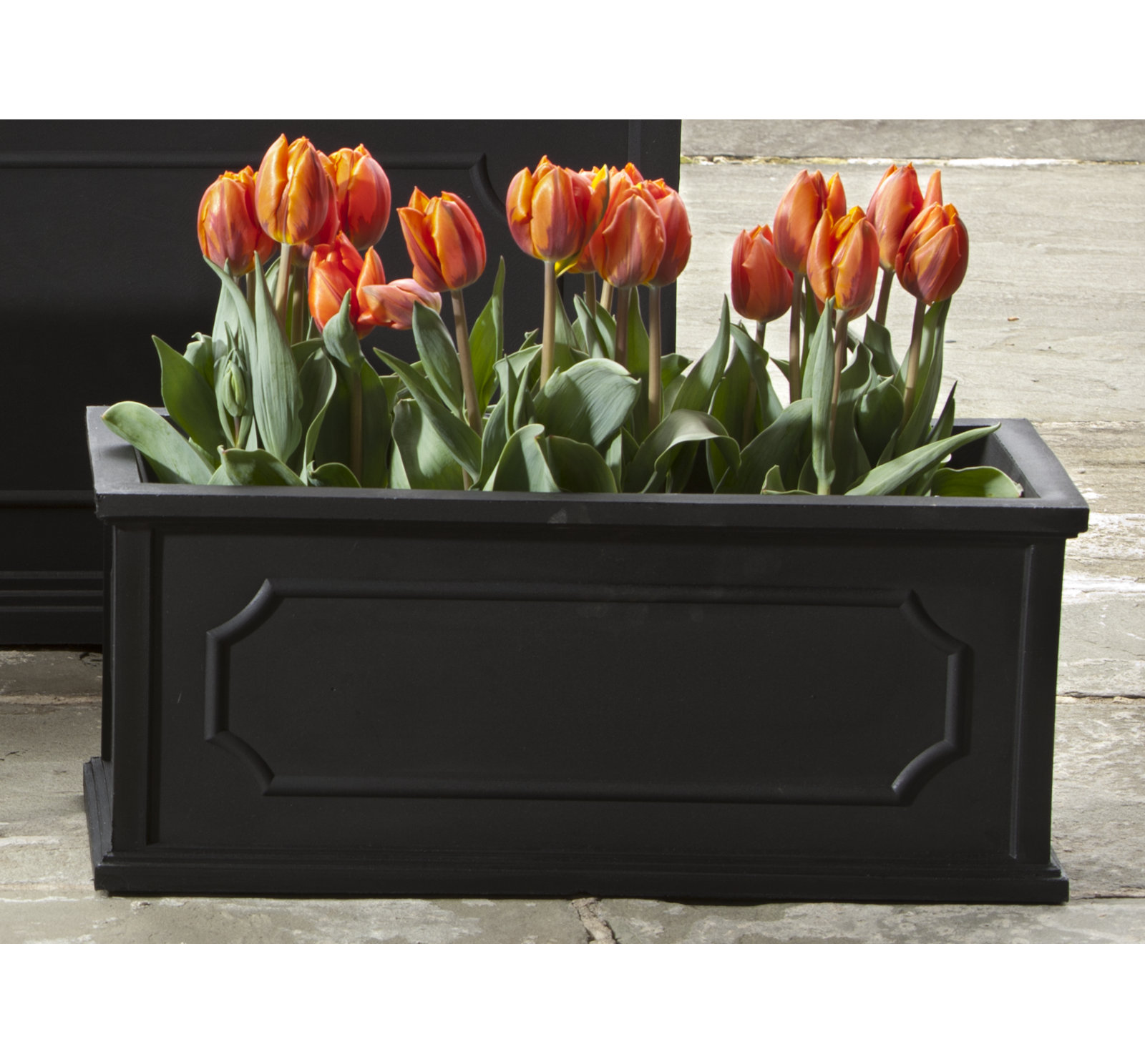 Ericson Planter Box, 11" H x 23" W x 9.5" D, Black