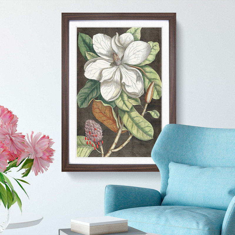 Laurel Magnolia Tree by Mark Catesby - Picture Frame Painting Print, 48cm H x 36cm W x 2cm D, Walnut Framed