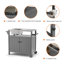 Station de cuisson pour l'extérieur modulaire autoportante en acier inoxydable avec armoire HEPE 42 "304-108487365