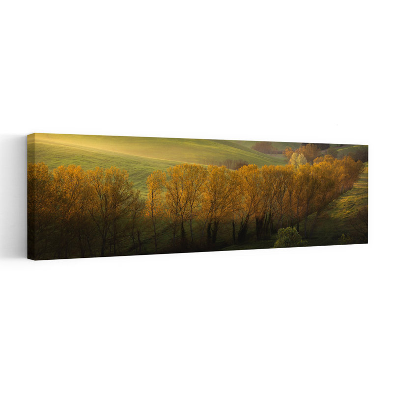 «Golden Trees and Rolling Hills Peaceful Serene Tranquil Autumn Landscape», art mural, H 16 po x l 48 po