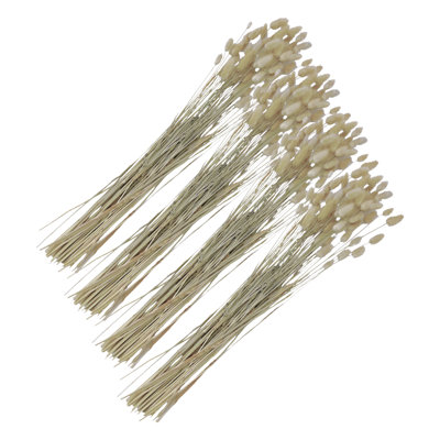 Dried Preserved Bunny Tails Grass Bouquets