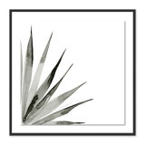 Agave II Print by Jess Engle