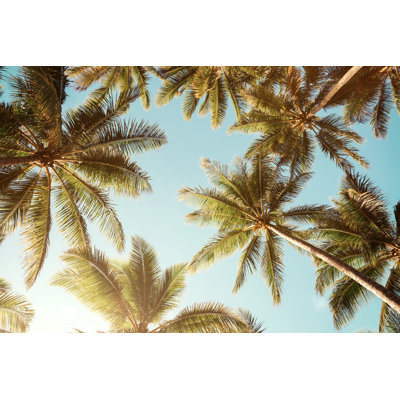 Summer Background - Wrapped Canvas Print