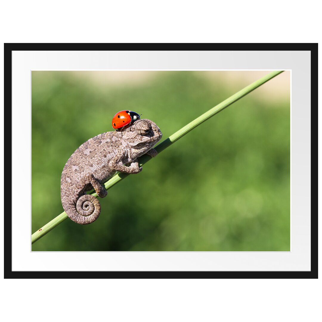 Gerahmtes Poster Süßer Gecko mit einem Marienkäfer