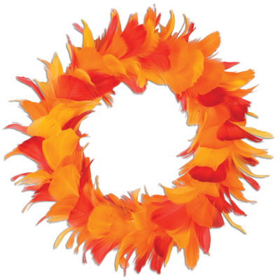 Couronne de plumes
