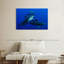 Triple requin-107886608