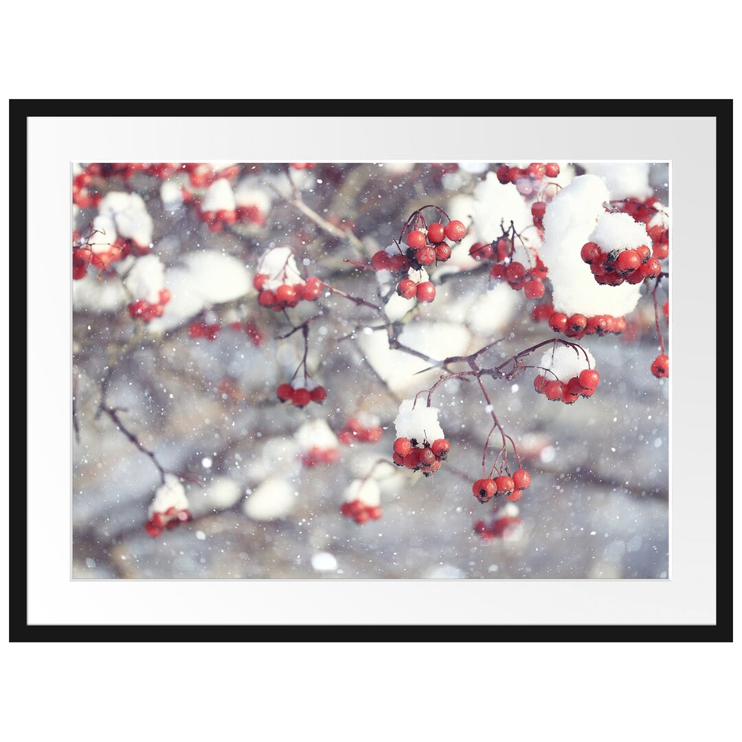 Gerahmtes Poster Vogelbeeren mit Schnee bedeckt