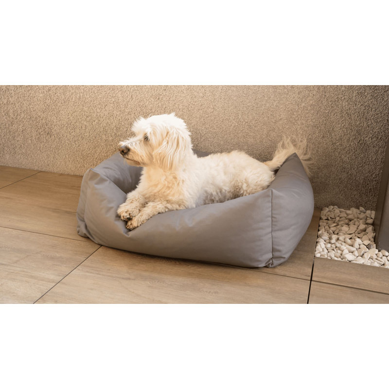 Theodis Pet Bed, 17cm H x 100cm W x 82cm D, Grey, Extra Large