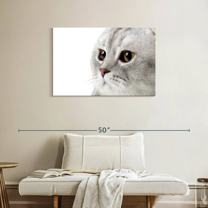 Crowle Fluffy Gray Cat, 24" H x 36" W