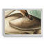 Trumpeter Swan - reproduction d'art sur toile-418566640-418566643
