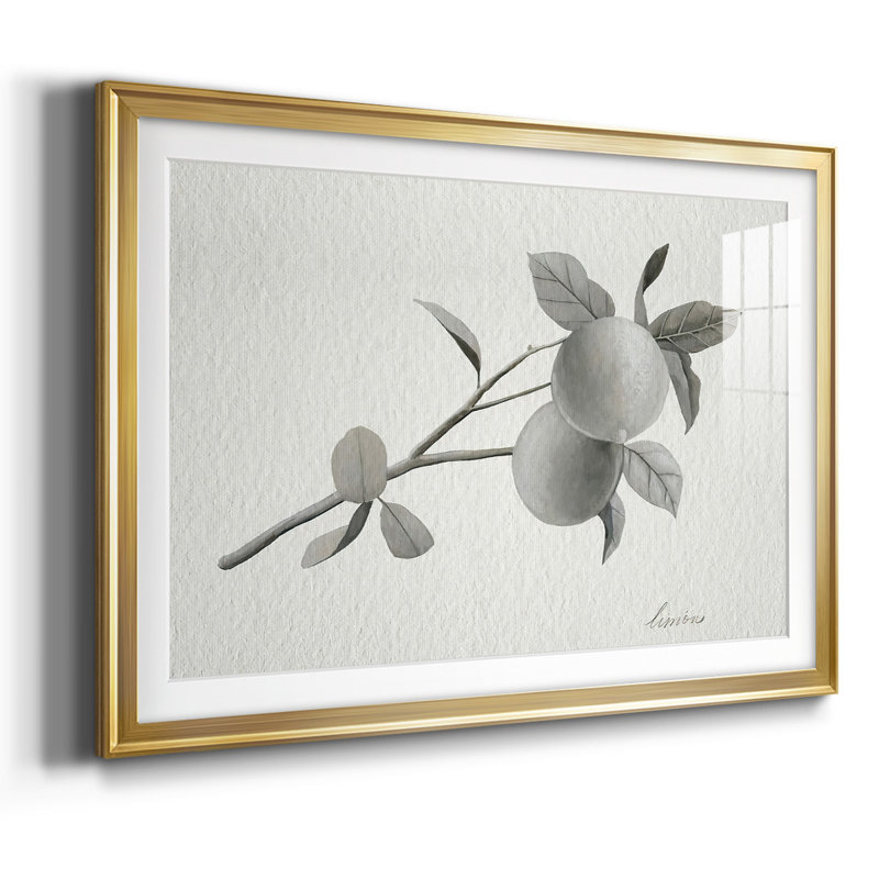 Limonero II, reproduction d'art encadrée, Or, H 19 po x l 27 po x P 1,5 po
