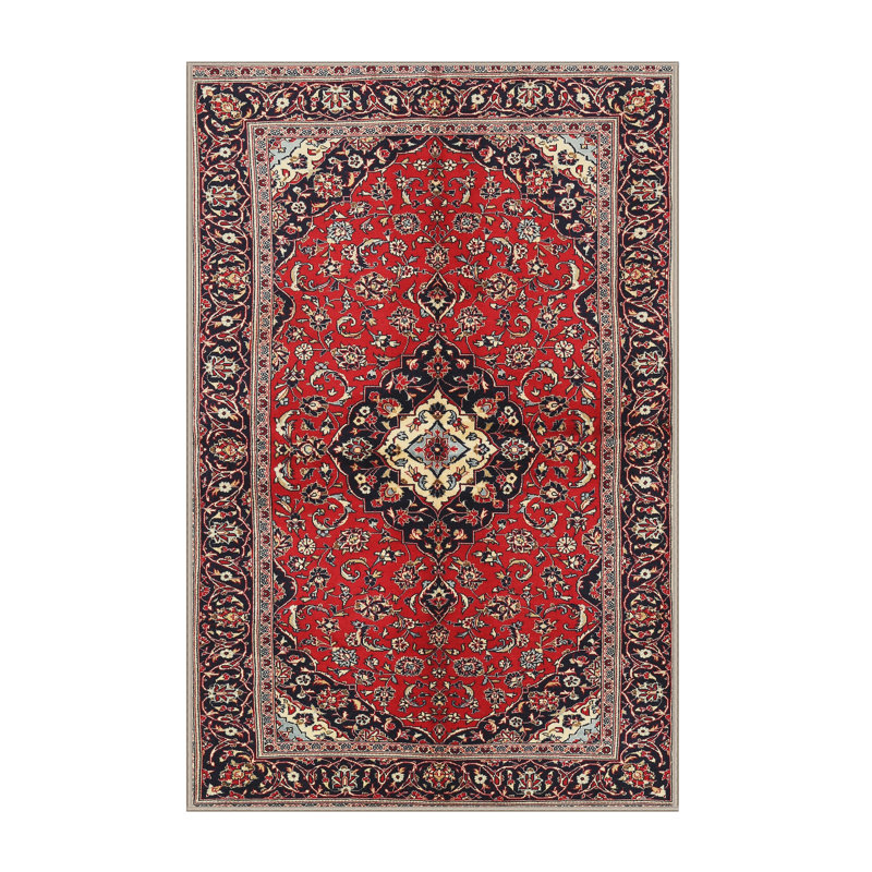 Oriental Indoor Rug, Rectangle 5' x 7'