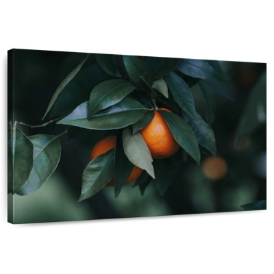 Harnek orange mûr