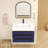 Jessica 29.5'' Single Bathroom Vanity with Acrylic Top-1262037248