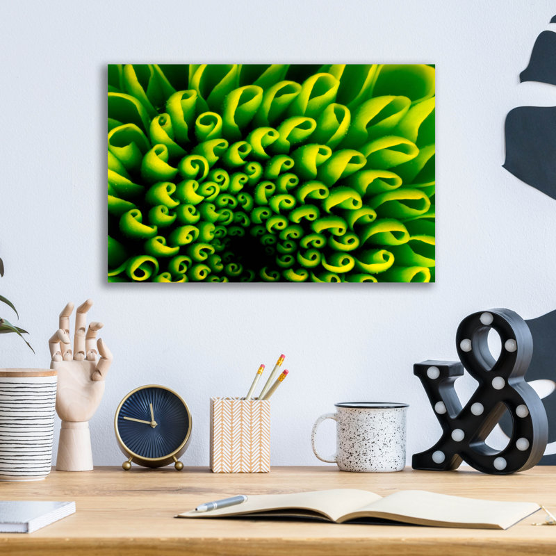 «Green Design 1» par PhotoINC Studio, H 12 po x l 16 po