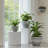 Boxdale Hanging Planter-132602330-132602333