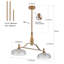 Luminaire suspendu rétro 2 lumières style designer-1525460444-1518831318