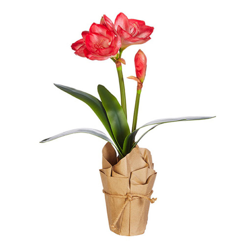 Foam Amaryllis Arrangement in Pot
