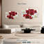 Amaryllis Harnek rouge et blanc