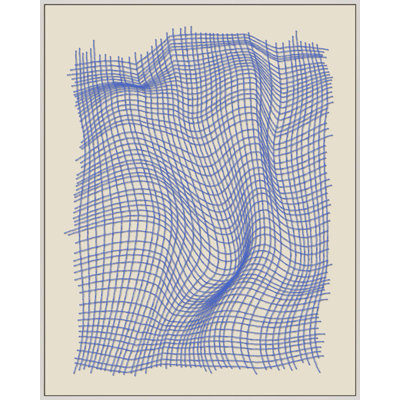 Netting 2 Print by Jacques Pilon