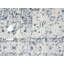 Amoret Oriental Indoor Rug-1990247287