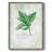 Fresh Basil Framed Print - Solid Wood-1892898468