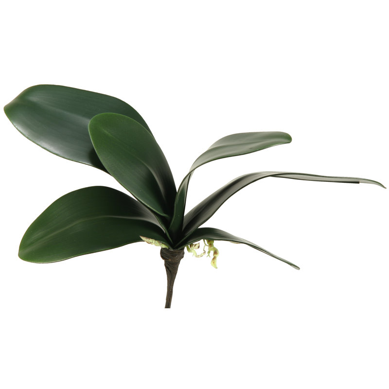 10.75'' Faux Orchid Foliage Stem