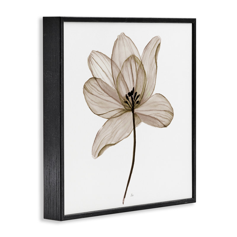 Art giclée encadrée par Beige, H 12 po x l 12 po, Giclée encadrée noir minuit
