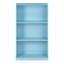 Barhorst Standard Bookcase-36155938