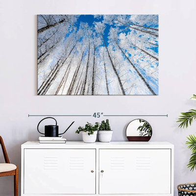 Alvord Wintry Birch Forest