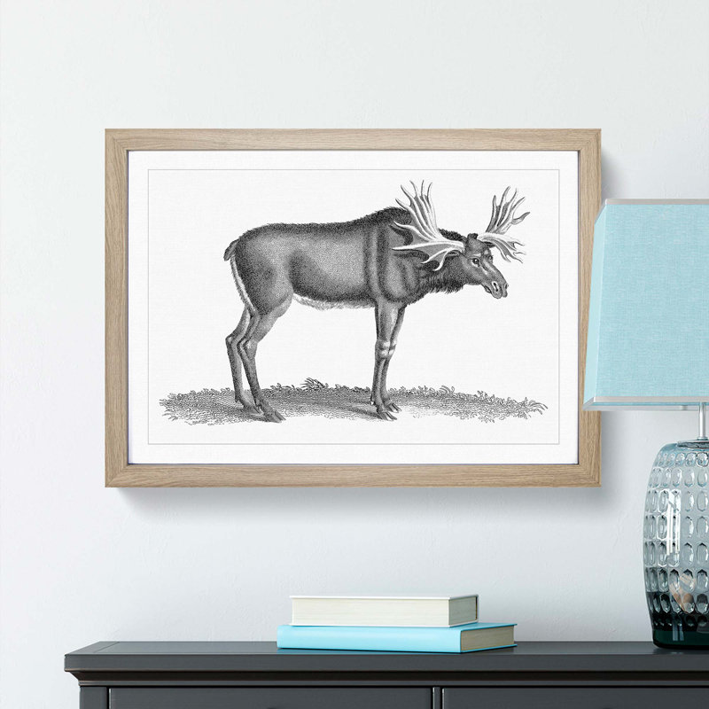 An Elk In Black And White by George Shaw - Single Picture Frame Print, 24cm H x 33cm W x 2cm D, Oak Framed