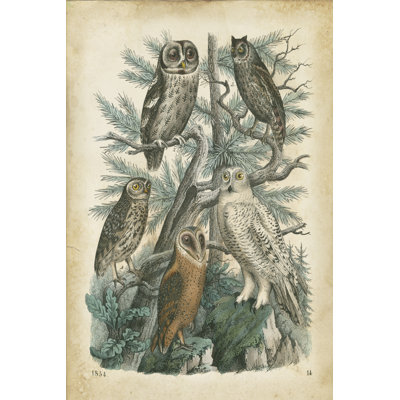 " Natures Gathering III " by John Wiek Painting Print