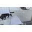 Portable Cat Cage