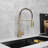 Stylish 20" Single Handle Pull-down Kitchen Faucet With Water Filter In Brushed Gold-112281000