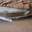 Photos des clients 2 de 3