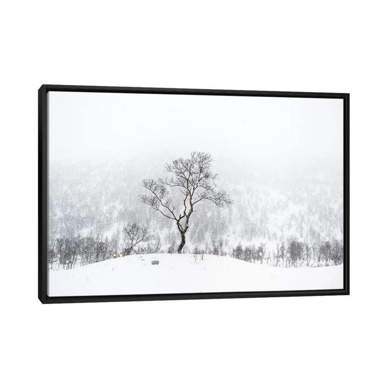 « debout seul », reproduction de photo sur toile, H 18 po x l 26 po x P 1,5 po, Toile avec cadre noir, Pas de tapis