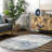 Rubio Striped Gray/Beige Area Rug-1626397928