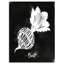 Planche de découpe betterave-impression d’art graphique-29506954-35114474