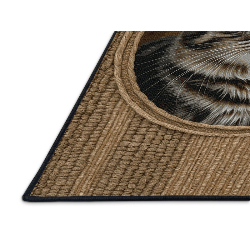  Tapis lavable Celtic Shorthair Cats, Rectangle 5 pi x 7 pi