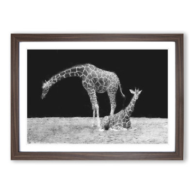 Two Giraffes Vol.3 - Framed Print